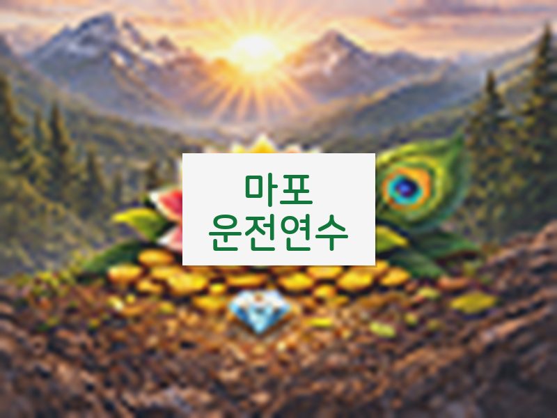 마포운전연수 후기