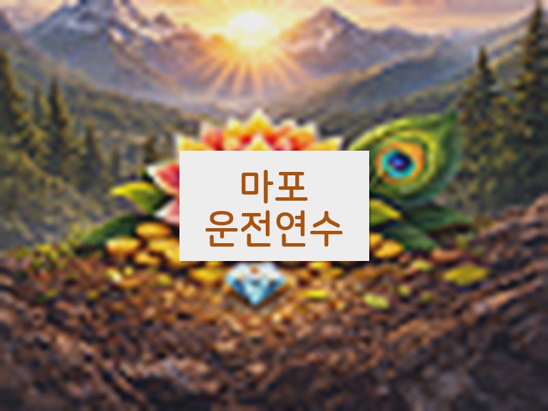 마포운전연수 후기