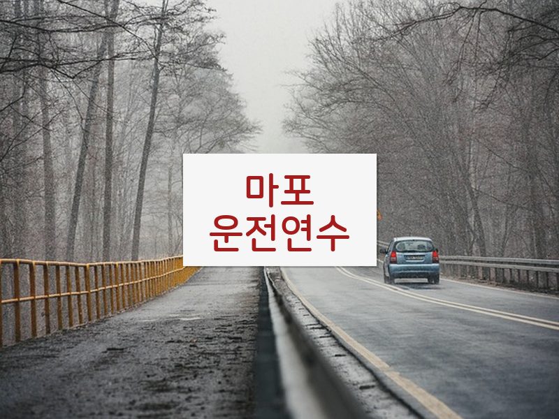 마포운전연수 후기