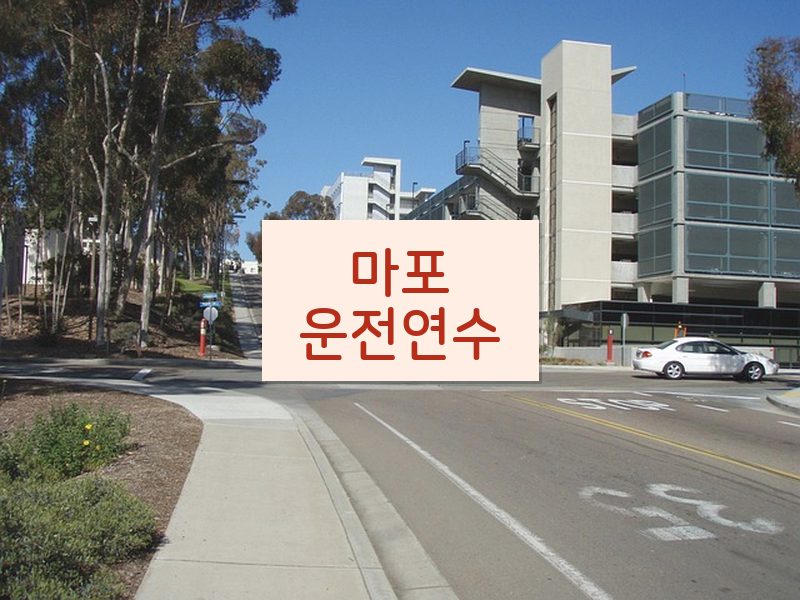 마포운전연수 후기
