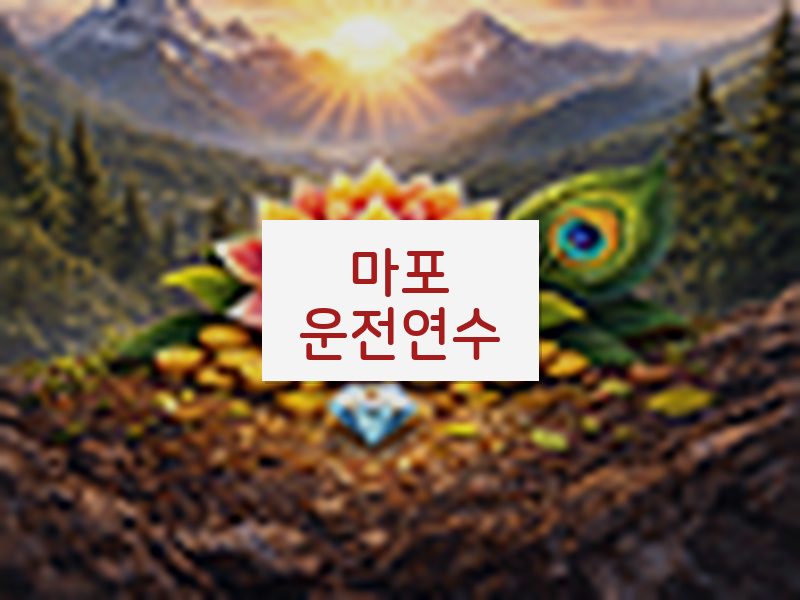 마포운전연수 후기