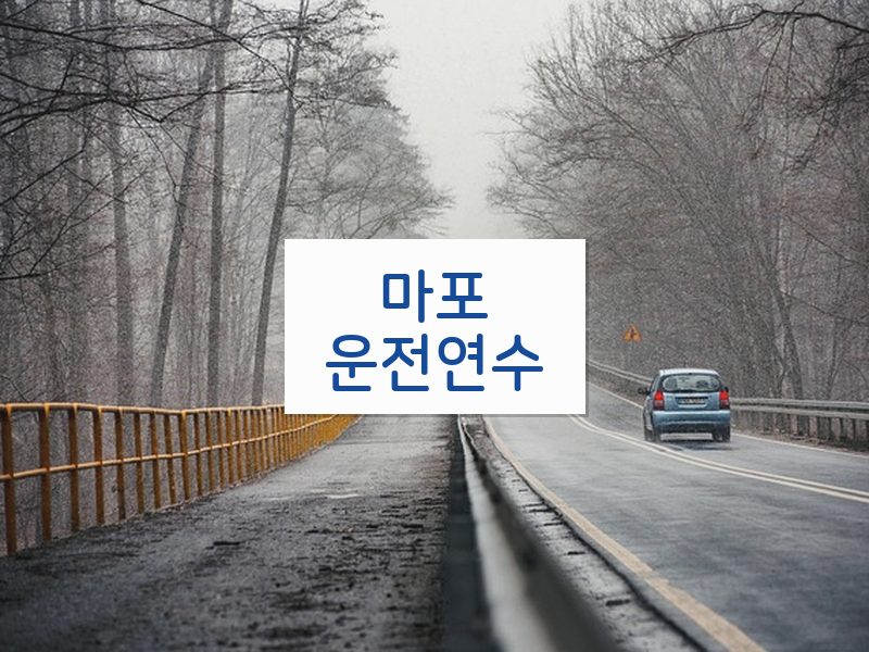 마포운전연수 후기