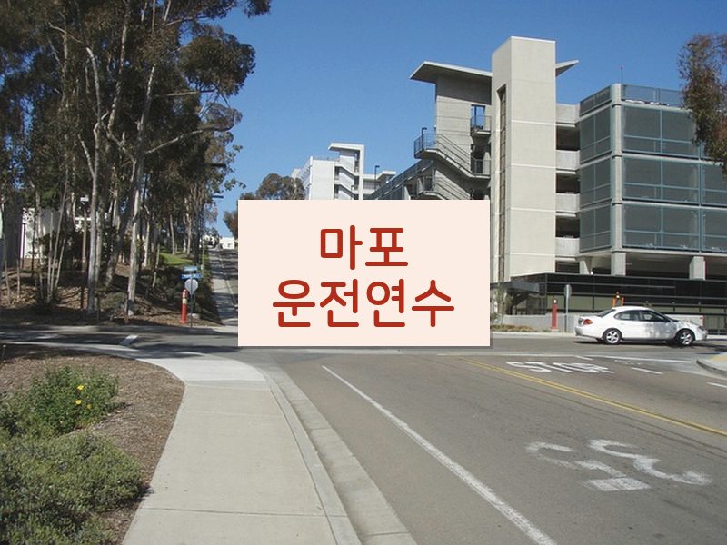 마포운전연수 후기