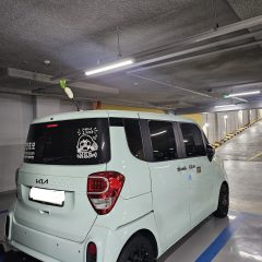 엄마표 운전연수 실패 후... 여기서 성공!