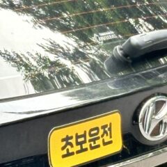 마포운전연수 받았는데 진짜 좋았어요