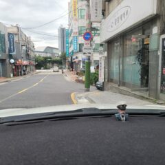 마포 운전연수 10시간 비용 내돈내산 초보운전 탈출 후기