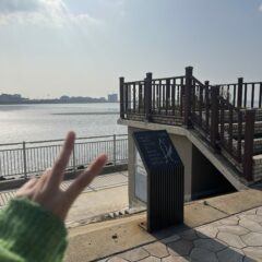 마포 방문운전연수 추천 후기! 복잡한 시내 주차까지 완벽 정리!