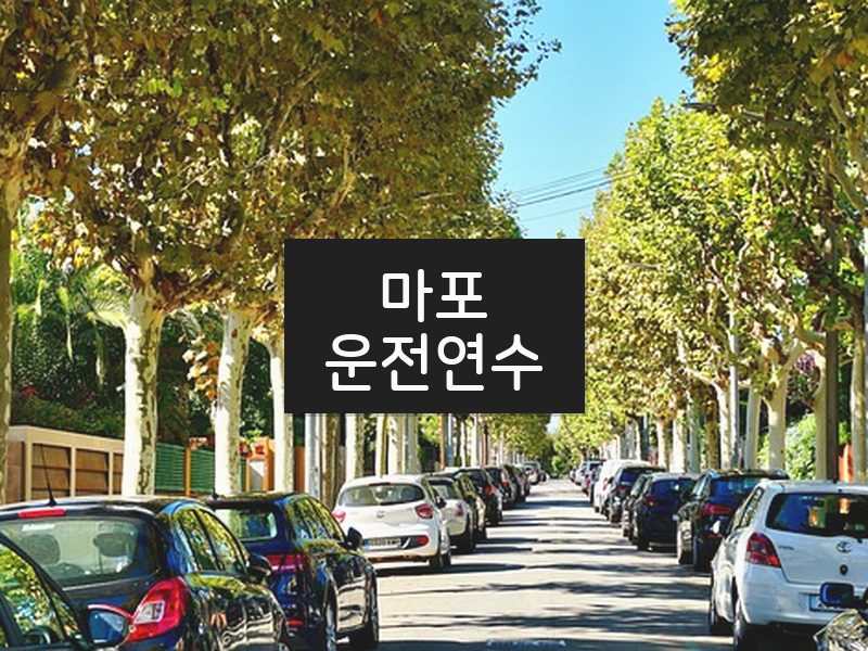 마포운전연수 후기