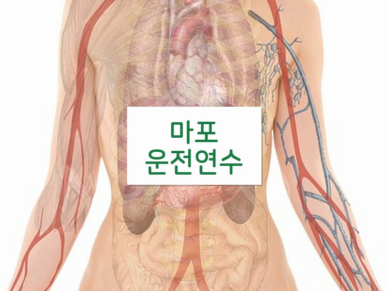 마포운전연수 후기