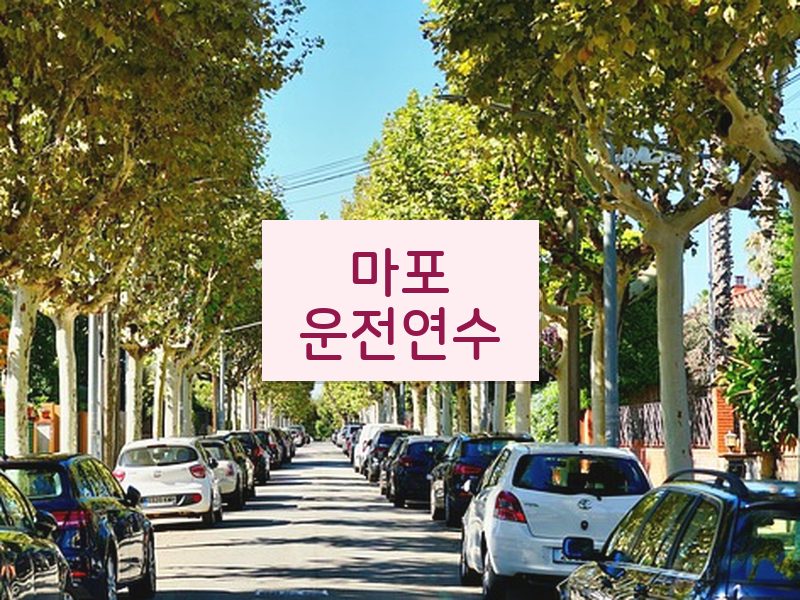 마포운전연수 후기