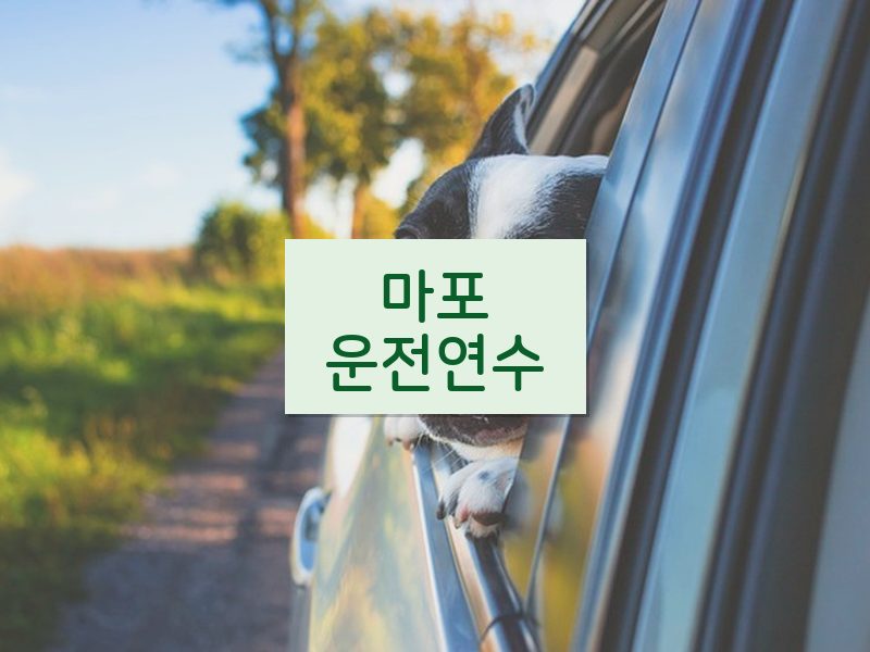 마포운전연수 후기