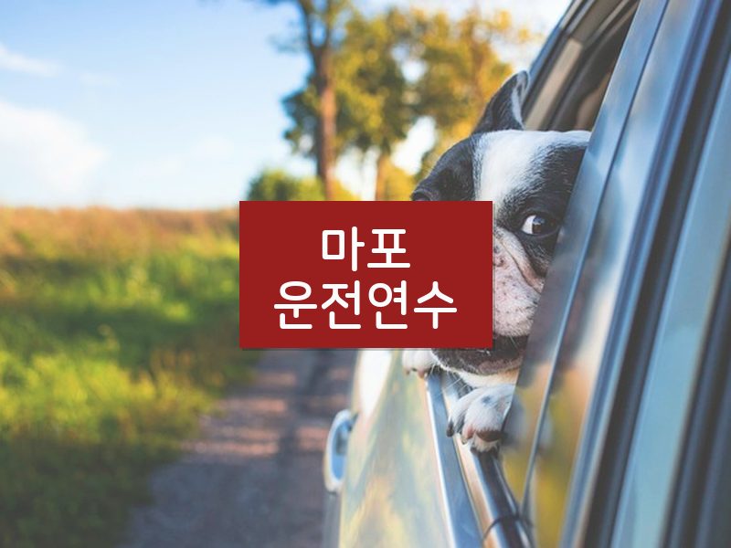 마포운전연수 후기