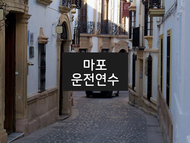 마포운전연수 후기