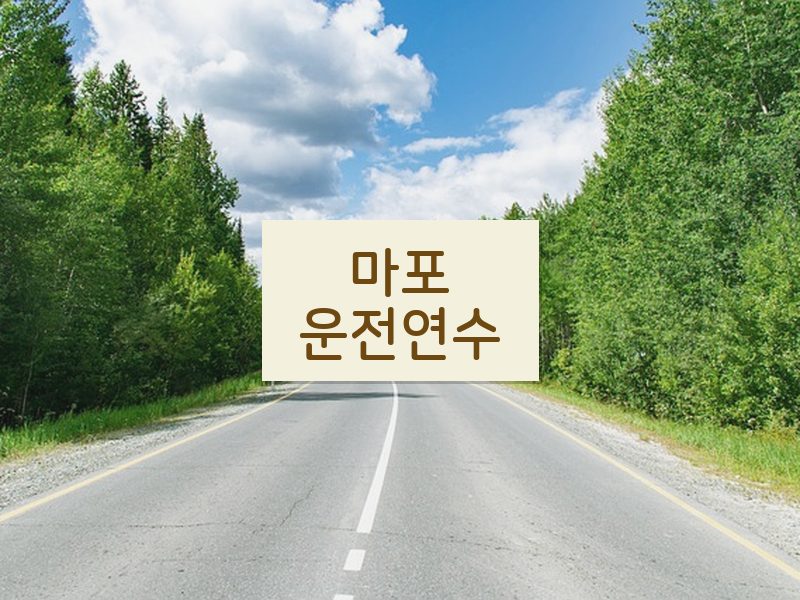 마포운전연수 후기