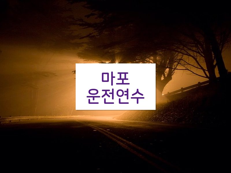 마포운전연수 후기